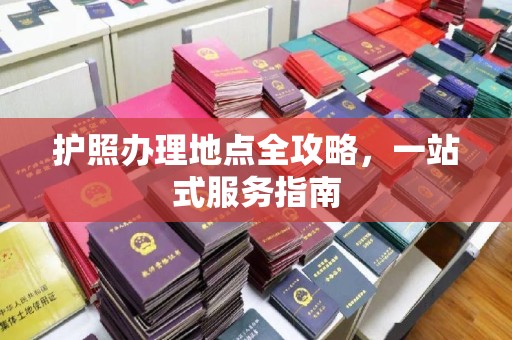 新河护照办理地点全攻略，一站式服务指南