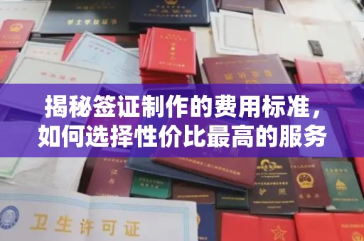 新河揭秘签证制作的费用标准，如何选择性价比最高的服务？