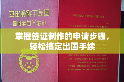 新河掌握签证制作的申请步骤，轻松搞定出国手续