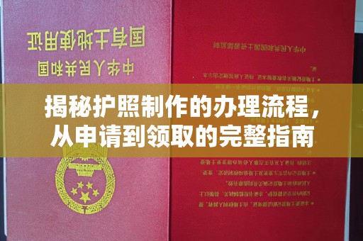 新河揭秘护照制作的办理流程，从申请到领取的完整指南