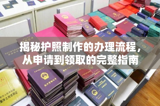 新河揭秘护照制作的办理流程，从申请到领取的完整指南