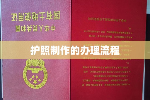 新河护照制作的办理流程